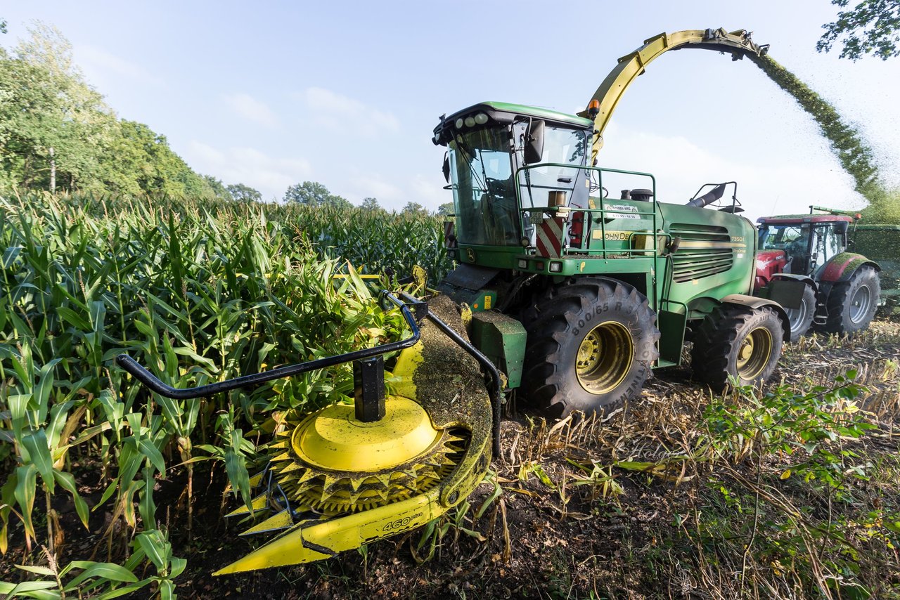 Bild 197 - Maisernte